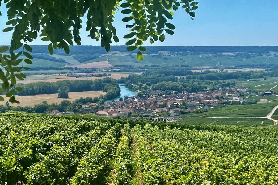 Grand Vintage Private Champagne Moet Chandon Veuve Clicquot - Hautvillers viewpoints and Saint-Sindulphe Abbey: the Dom Pérignon link