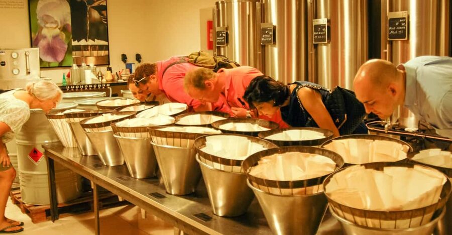 Grasse, Valbonne & Gourdon: Day Tour with Wine Tasting - Fragonard perfume factory: how the tour actually feels in 45 minutes