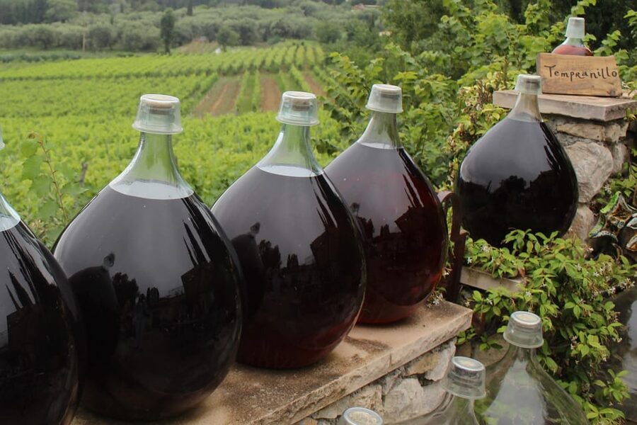 Grasse, Valbonne & Gourdon: Day Tour with Wine Tasting - Bellet winery stop: local red, rosé, and white with sea and vine views