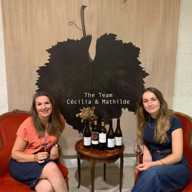 Guided Bordeaux Wine Tasting Class with 6 Wines and pairings - Food and Wine Pairing: Learning the Why, Not Just the What