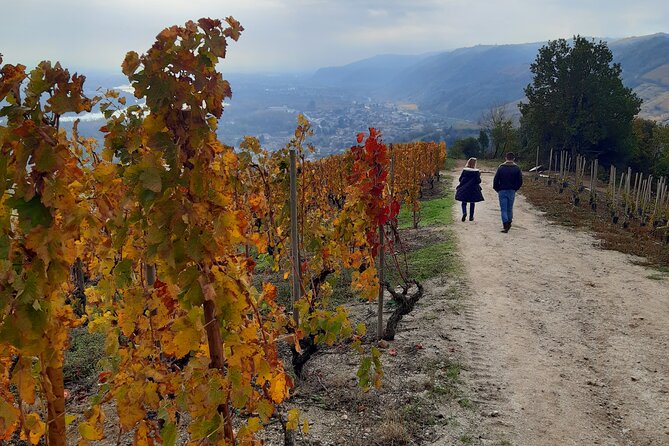 Guided tour and wine tasting Northern Rhône Valley - Key highlights in this Northern Rhône wine tasting