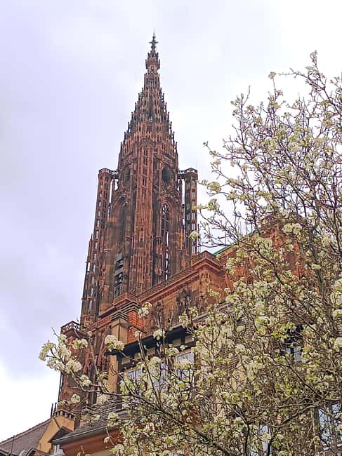 Guided Tours of Strasbourg Cathedral - Exterior sculptures: where Strasbourg power shows up in stone