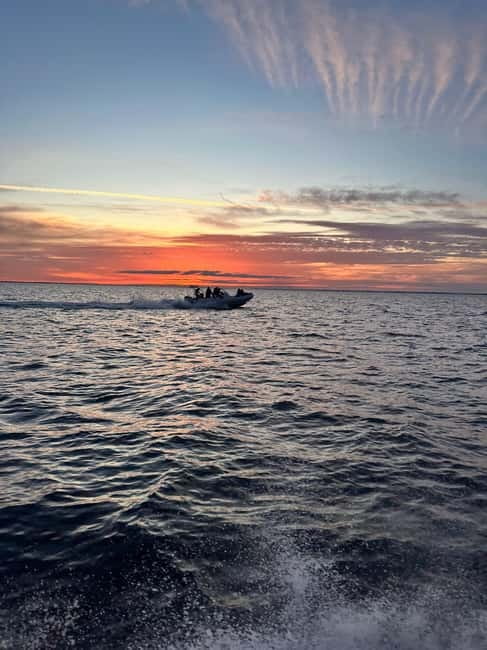 Gulf of Morbihan cruise with/without stopover on Île-aux-Moines - Key things to know before you go