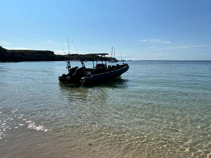Gulf of Morbihan cruise with/without stopover on Île-aux-Moines - Where you meet in Brittany, and what to look for