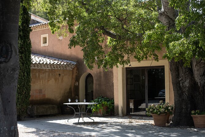 Half day Wine Tour in Bandol & Cassis from Aix en Provence - Key Highlights You Will Care About