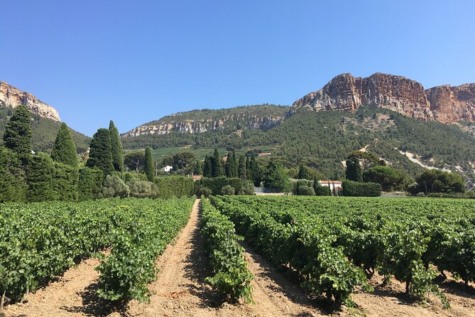 Half day Wine Tour in Bandol & Cassis from Aix en Provence - Bandol and Cassis in One Half-Day: The Smart Pairing