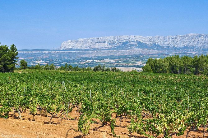 Half day Wine Tour in Côtes de Provence Sainte-Victoire from Aix en Provence - The half-day rhythm: how 3 hours 30 minutes feels in real life