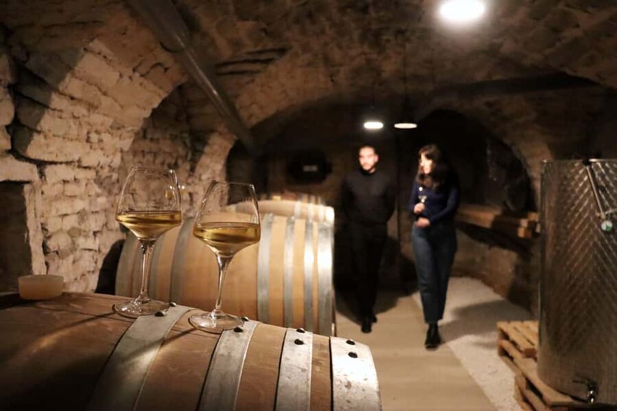 Historic Center of Dijon : Discovery Tasting Wine Burgundy - Key highlights at a glance