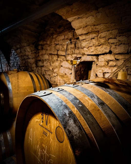 Historic Center of Dijon : Discovery Tasting Wine Burgundy - Language and pacing: how to make sure you get the full experience