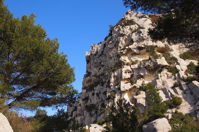 History and Van Gogh in Provence from AIX-EN-PROVENCE - Guide quality: where the whole day gets better