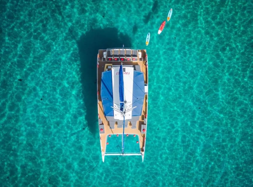 Hyères : Morning Discovery or Relaxing Afternoon cruise - Key things that make this cruise work