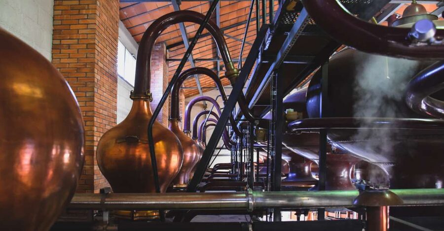 Jarnac: Braastad cognac discovery tour - Key highlights you will actually care about