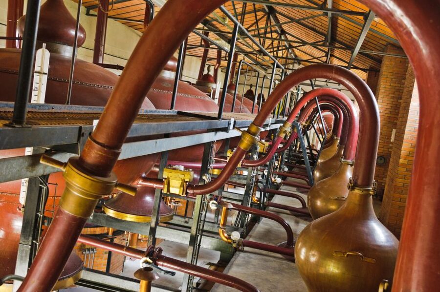 Jarnac: Braastad cognac discovery tour - Who this Braastad tour fits best