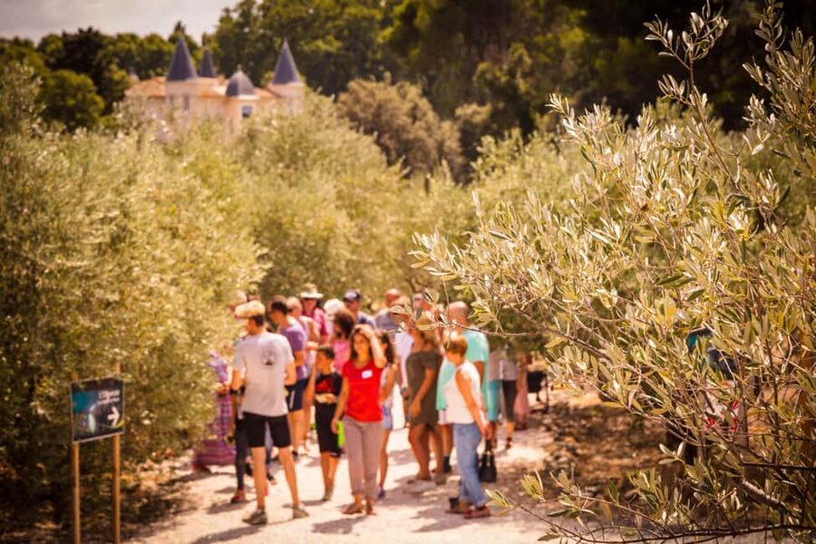 L'Oulibo oil mill: Guided tour - Key things to know before you go