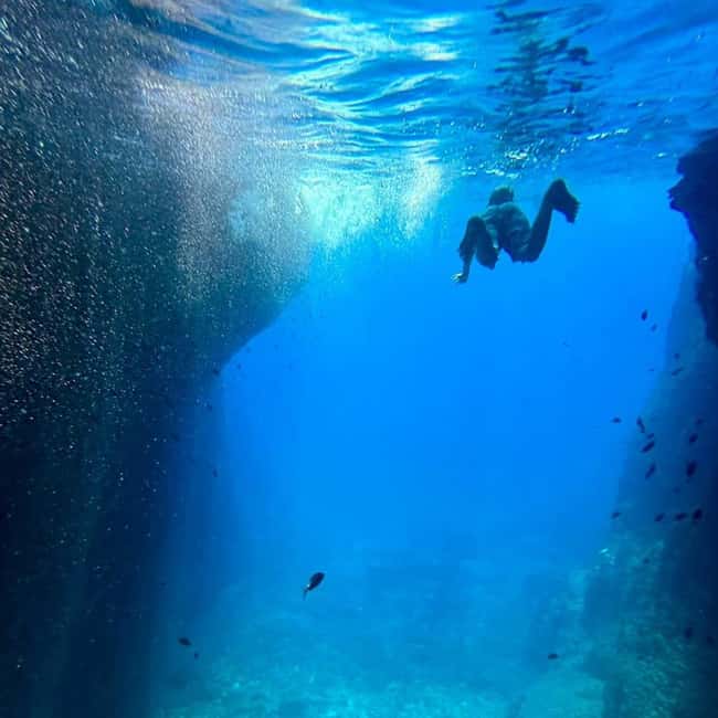 La Ciotat: Calanques Afternoon Boat Tour with Snorkeling - Stop-by-Stop: From Île Verte to Calanque de Morgiou