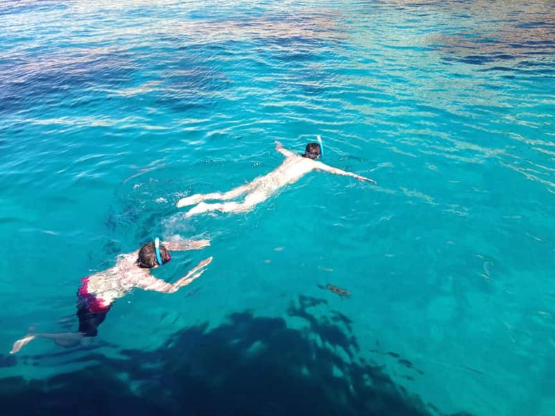 La Ciotat: Calanques Morning Boat Tour with Snorkeling - Calanque de lOule and the value of multiple viewpoints