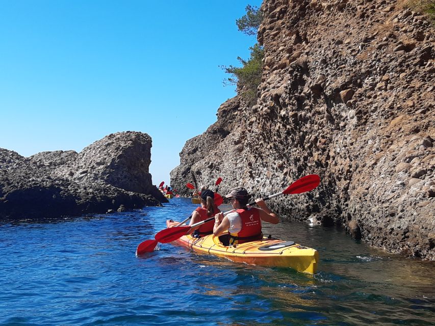 La Ciotat: Calanques National Park Guided Kayak Tour - Half-day vs full-day: what changes in real life