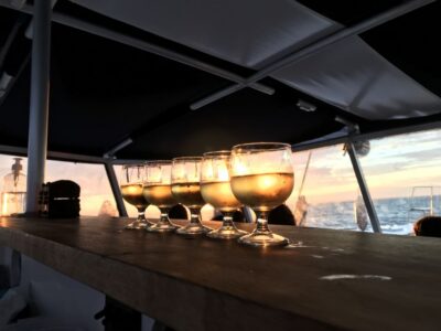 Catamaran Cruise
