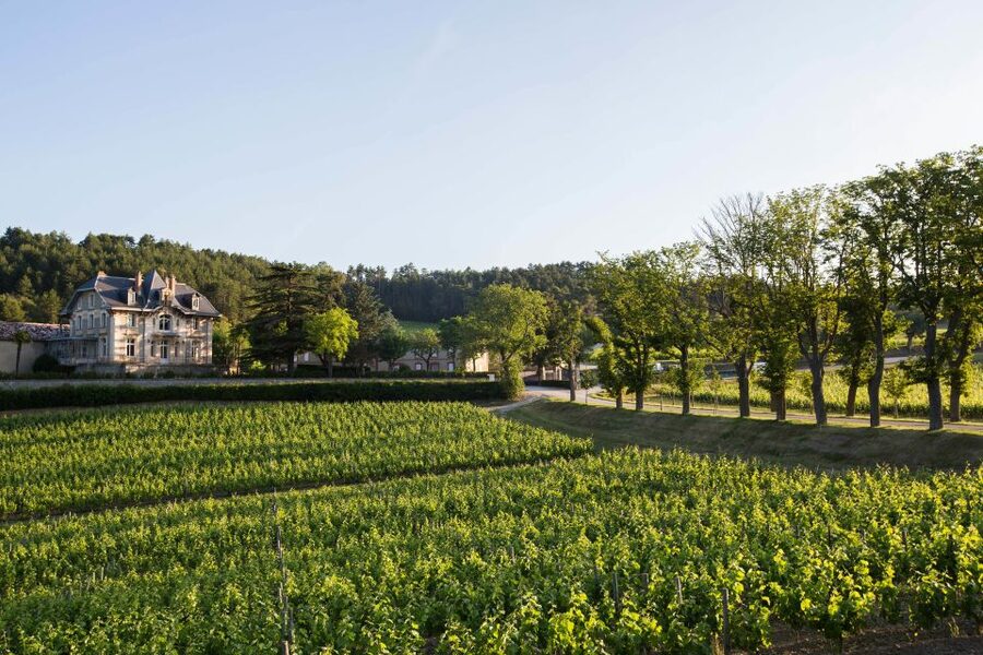Languedoc: Tour and Tasting at Domaine de Baronarques - A 17th-century Languedoc estate near Limoux