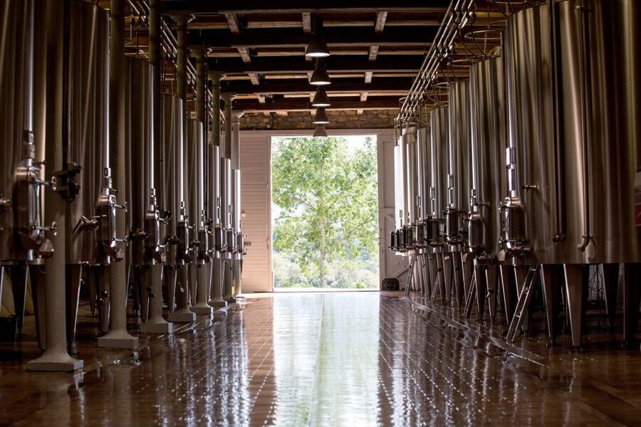 Languedoc: Tour and Tasting at Domaine de Baronarques - Getting there from Limoux, and why you should plan ahead