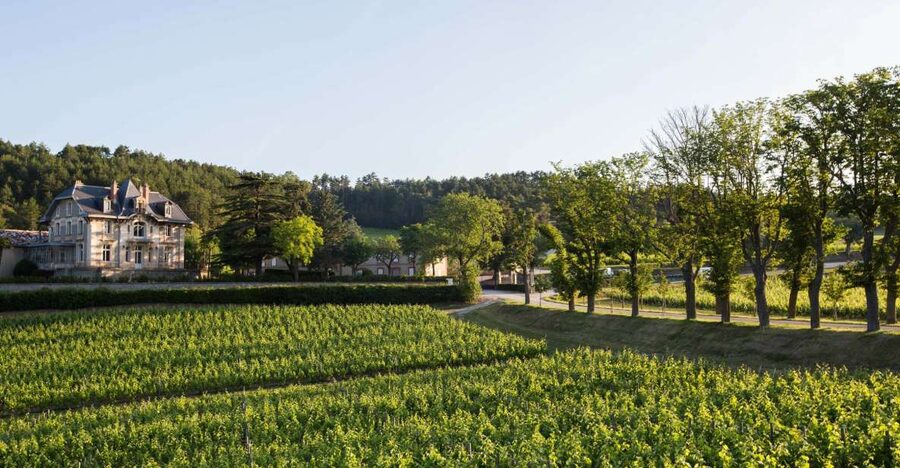 Languedoc: Tour and Tasting at Domaine de Baronarques - Vat-house tour: where fermentation becomes real