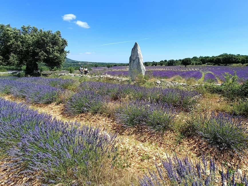 Lavande Guided Tour And Live Distillation - 20 minutes of color and scent, without feeling rushed