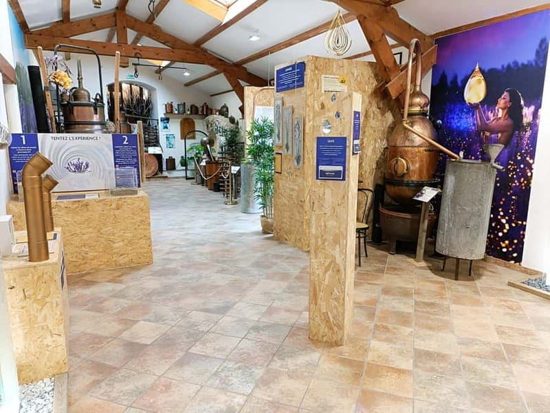 Lavande Guided Tour And Live Distillation - Once Upon a Time, Lavender: the 360° show that explains the backstory