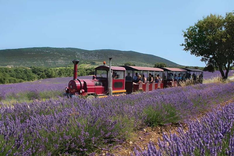 Lavande Guided Tour And Live Distillation - The Lavender Little Train: a short ride that keeps the pace friendly