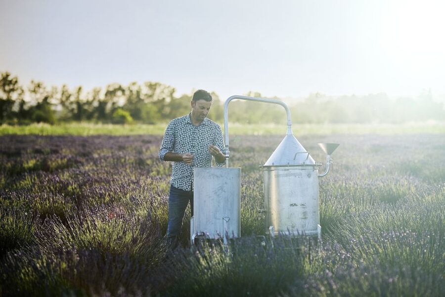 Lavender Field & Distillery Tour between Nimes & Arles - Best For Families, couples, and curious alchemists