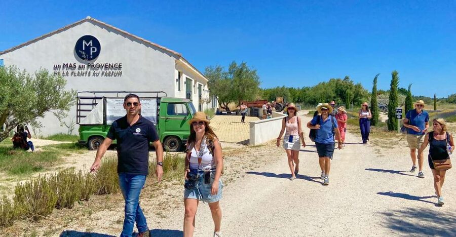 Lavender Field & Distillery Tour between Nimes & Arles - A 1-hour lavender and distillery lesson in Provence