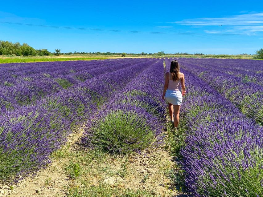 Lavender Field & Distillery Tour between Nimes & Arles - Watching steam distill lavender into essential oil