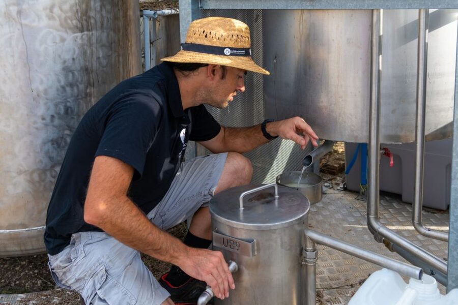 Lavender Field & Distillery Tour between Nimes & Arles - Store time, picnic tables, and turning smells into purchases