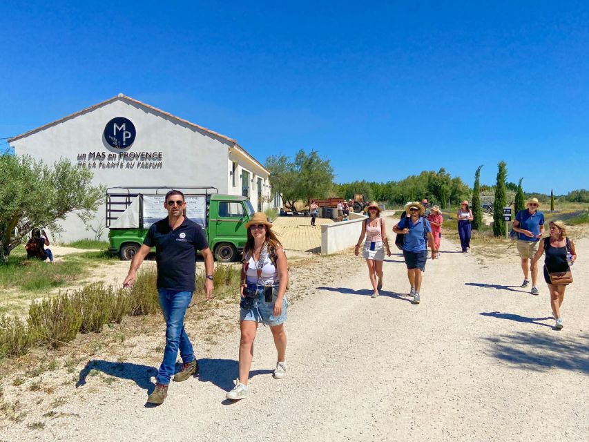 Lavender Field & Distillery Tour between Nimes & Arles - Meeting at the boutique, then planting your nose in the fields