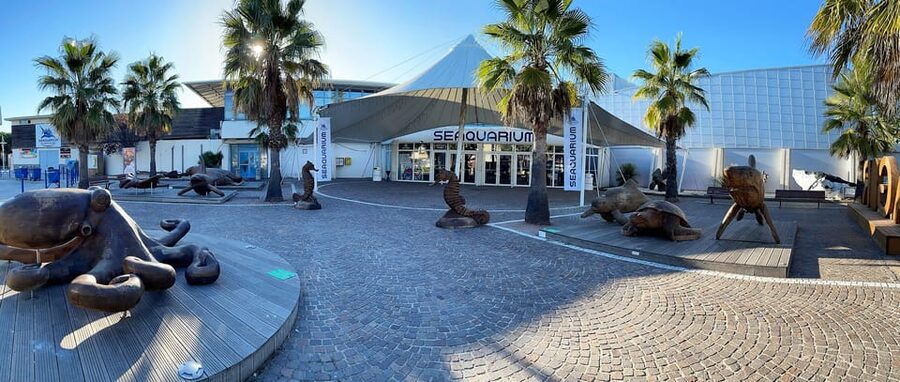 Le Grau-du-Roi: Seaquarium Skip-the-Line Entrance Ticket - Interactive kids activities: how the visit stays playful