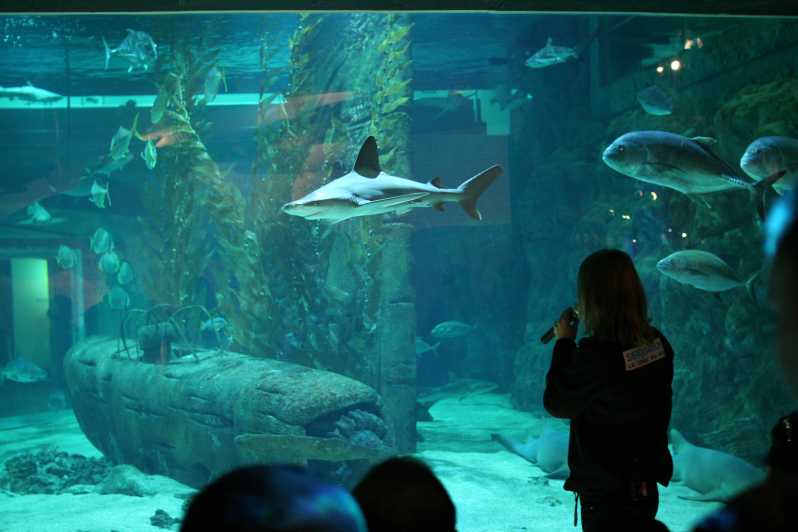Le Grau-du-Roi: Seaquarium Skip-the-Line Entrance Ticket - Your 2-hour walk-through plan, from street entrance to VR