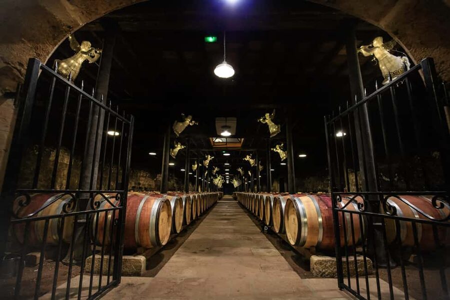 Le Hameau Duboeuf: The 1st Vine and Wine Theme Park Tour - Key highlights to put on your radar