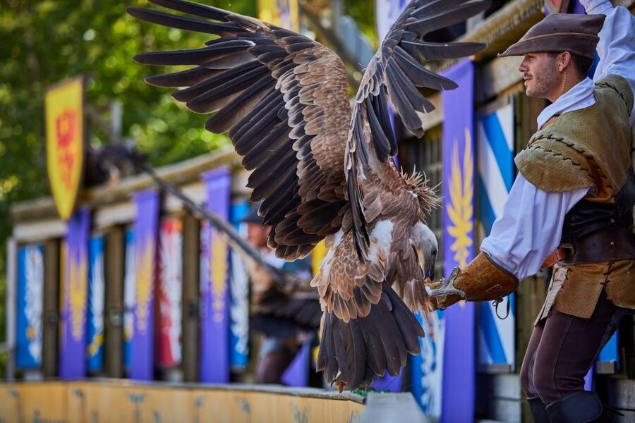 Les Epesses: Puy du Fou Theme Park 1-Day Entry Ticket - Getting there from Paris, Nantes, Bordeaux, and the coast