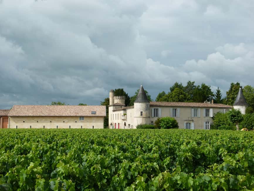 Libourne: Winery Tour with Wine and Chocolate Tasting - Soil Life Meets Winemaking: What the Vineyard Walk Teaches