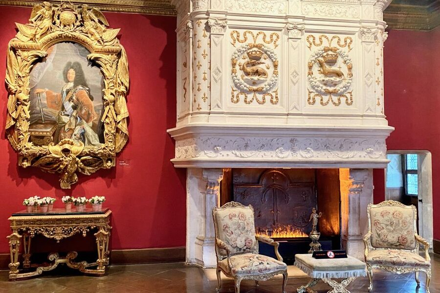 Loire Valley Castles: Chenonceau, Amboise & Da Vinci Trip - Who This Loire Castles Trip Suits Best