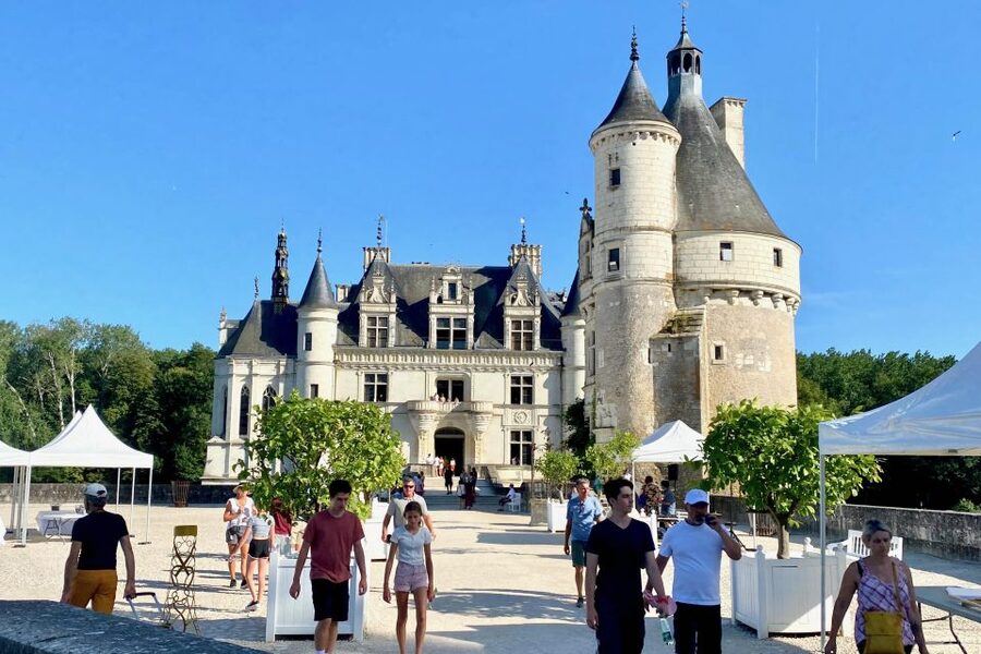 Loire Valley Castles: Chenonceau, Amboise & Da Vinci Trip - Getting There in a Mercedes Minivan and Why Hotel Pickup Matters