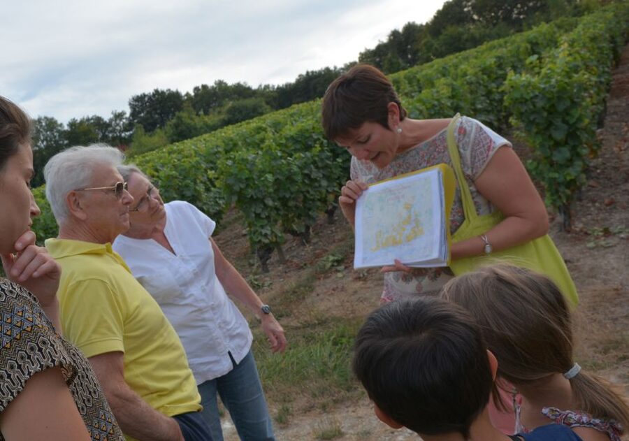 Loire Valley: Vouvray Vineyard Tour and Wine Tasting - Chançay Start: Vine Rows, Family Energy, and a Quick Reality Check