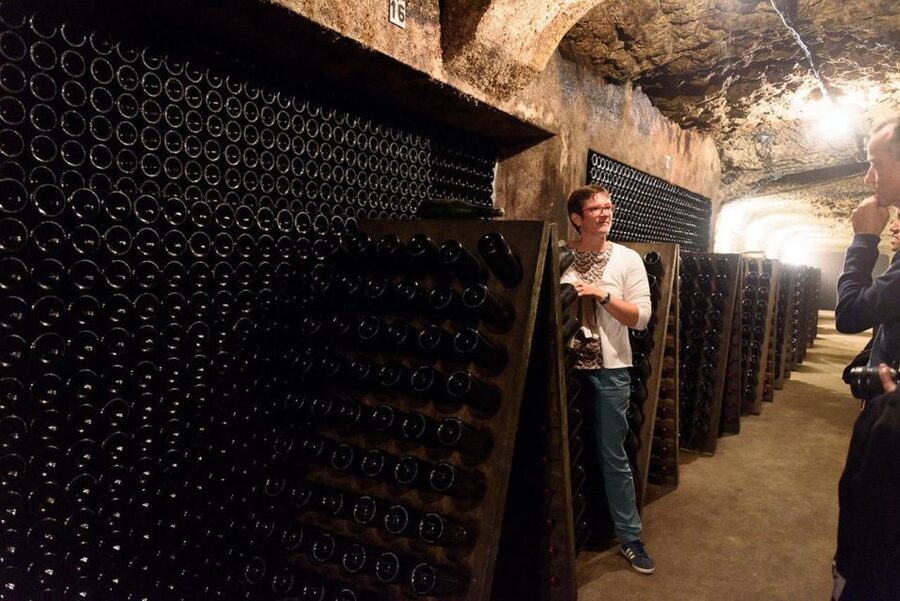 Loire Valley: Vouvray Vineyard Tour and Wine Tasting - From Vine to Pressing: Following the Grapes Through Harvest