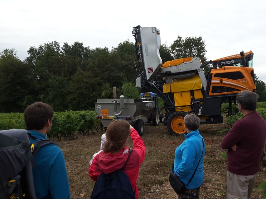 Loire Valley: Vouvray Vineyard Tour and Wine Tasting - Buying Bottles at Cellar-Door Prices, Without the Guesswork