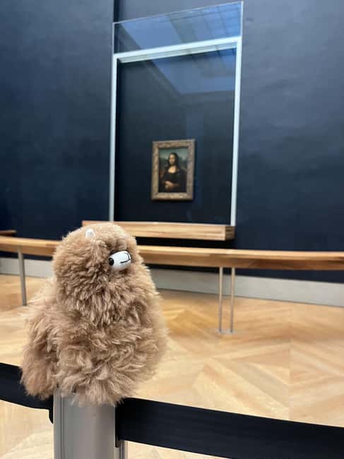 Louvre Museum Entry Ticket and Private Guided Tour - Meeting Next to Palais Royal and Spotting Mr. Lama Leonardo