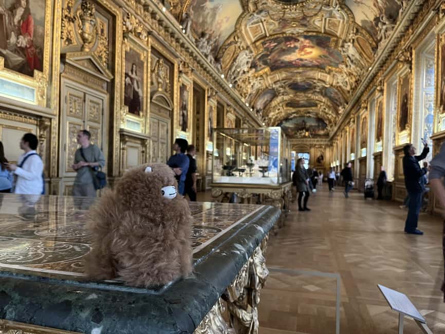 Louvre Museum Entry Ticket and Private Guided Tour - Photo Rules, Bag Limits, and Other Museum Realities