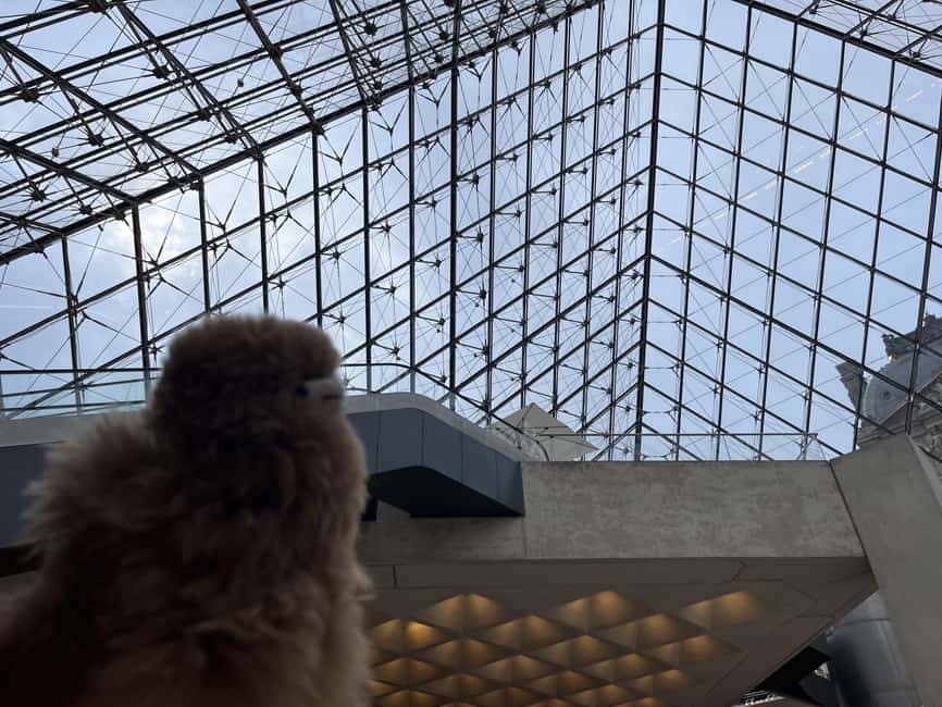 Louvre Museum Entry Ticket and Private Guided Tour - Languages, Private Format, and Who This Tour Suits