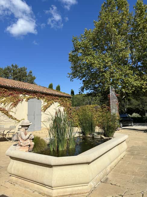 Luberon: Full-Day Wine Tour from Marseille - First Winery Stop: Scenic Arrival and Your First Real Tasting