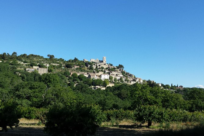 Luberon, Roussillon & Gordes Half-Day Tour from Avignon - Photo lover logistics: timing, fields, and what to bring