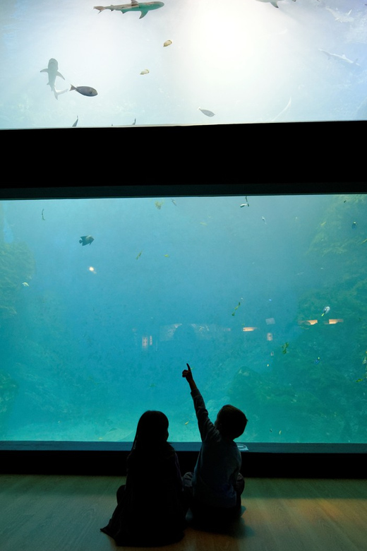 Lyon: Aquarium Entrance Ticket - Key highlights to know before you go