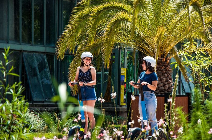 Lyon: City Segway Tour with a Local Guide - Key highlights I’d plan around